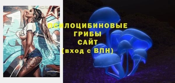 apvp Арсеньев