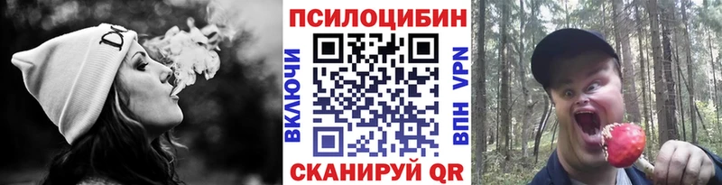 Псилоцибиновые грибы мицелий  Валдай 